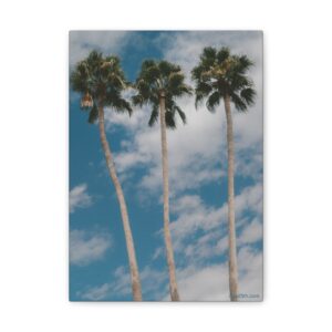 M25 Canvas "Tres Palmas"
