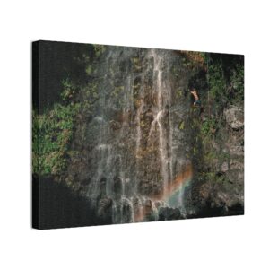 M25 Canvas "Leap of Faith"