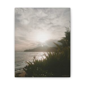 M25 Canvas "Into the Light"